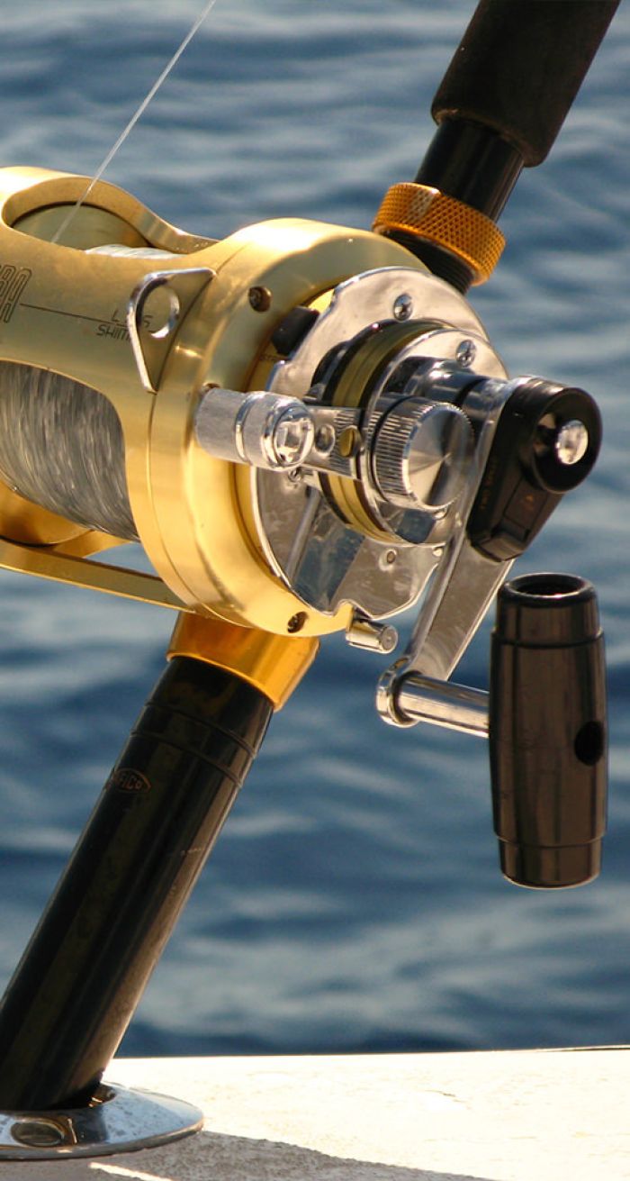 Madeira Island fishing trips