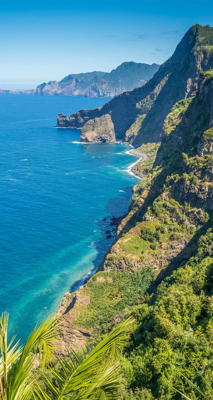Madeira Island Tours